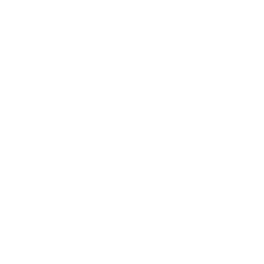 Socket